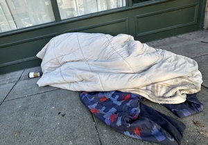 A55f390d-IMG 9165.webp