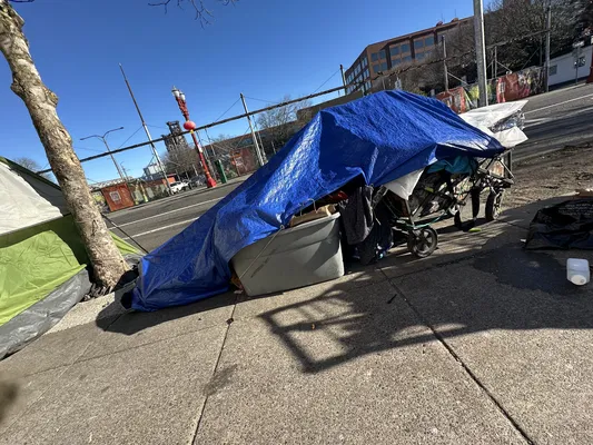 File:349ebf3f-IMG 9189.webp