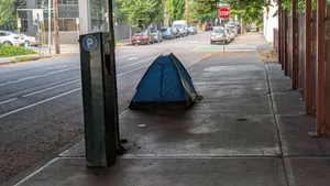 PXL 20250904 163841810.MP.webp