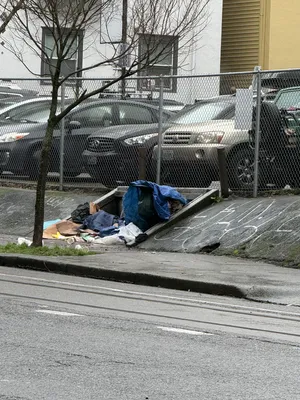 3aeda231-IMG 0805.webp