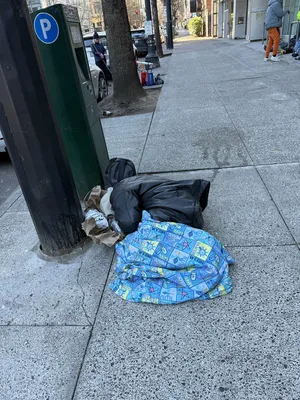 53d2ba6e-IMG 0708.webp