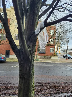 01ea36de-20251220 114102.webp